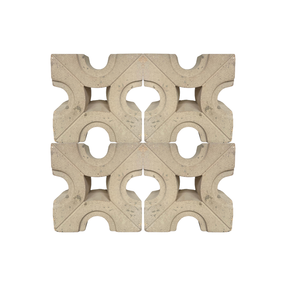 Celosia Blanca Aspa 20x20x10