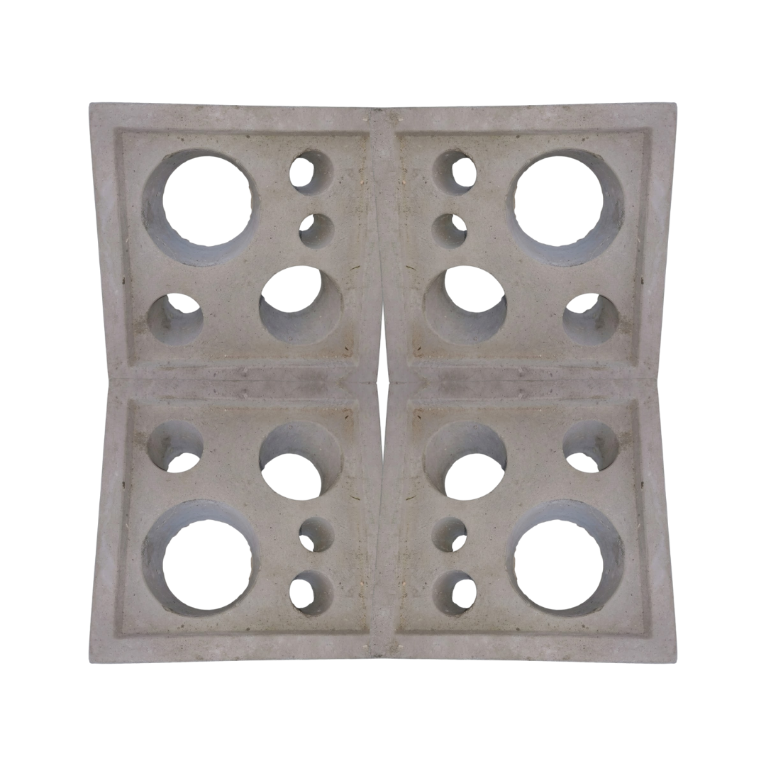 Celosia Blanca Queso 20x20x6