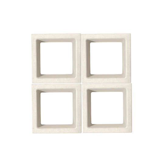 Celosia Blanca Cuadro 24x24x8