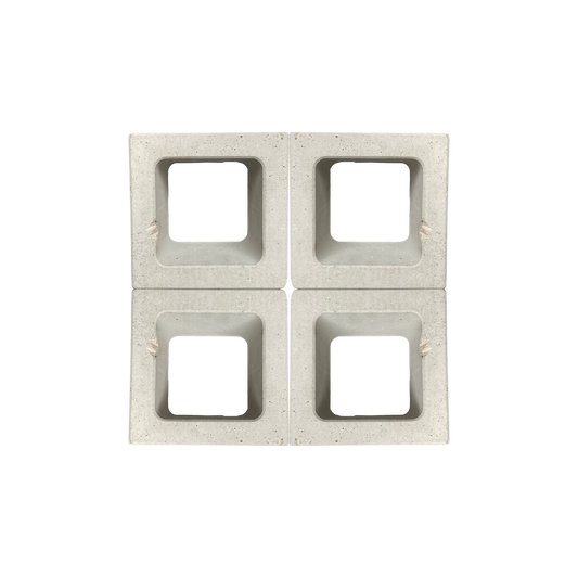 Celosia Blanca Cubo 20x20x10