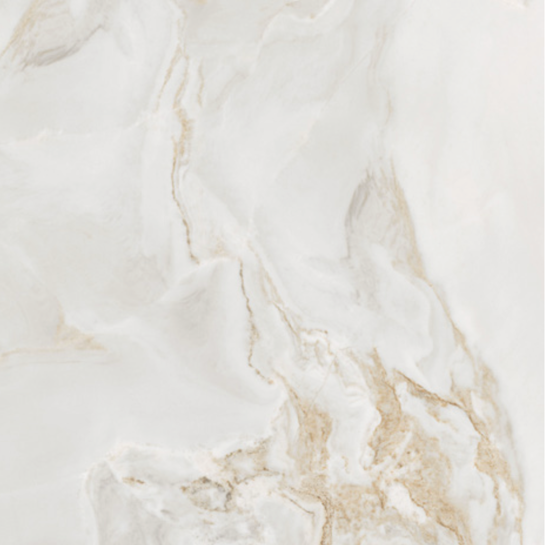 Piso Porcelanato Floralis 60x60