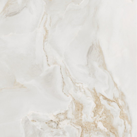 Piso Porcelanato Floralis 60x60