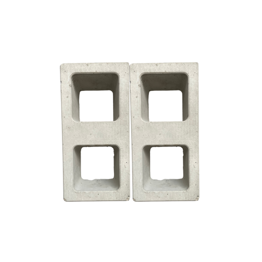 Celosia Blanca Cubo Doble 20x40x10