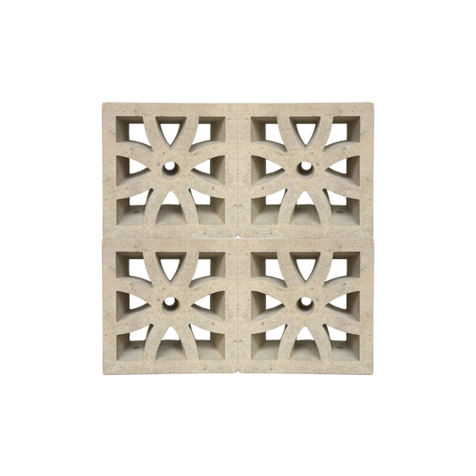 Celosia Blanca Flor #2 20x20x10