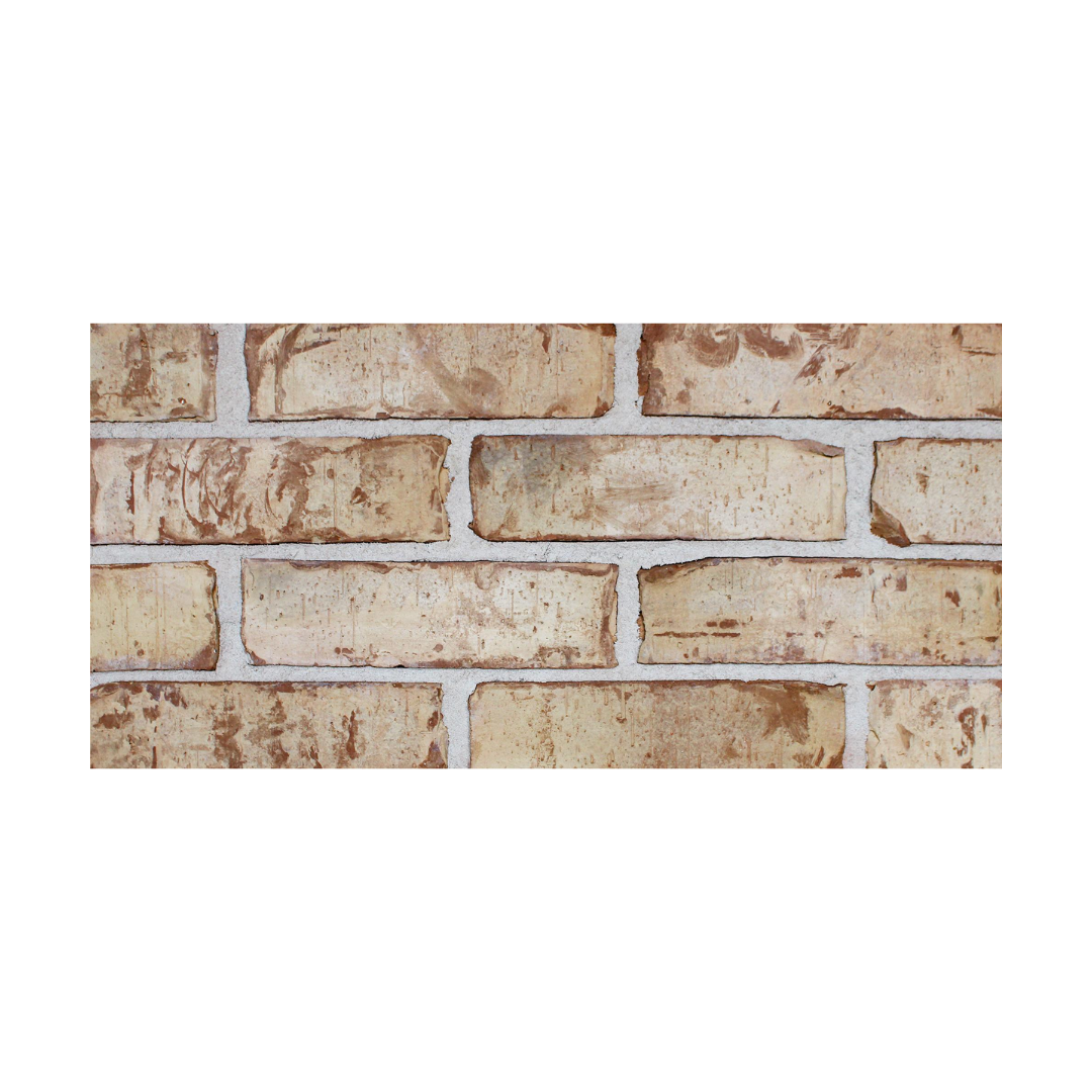 Fachaleta Barro Arizona Beige