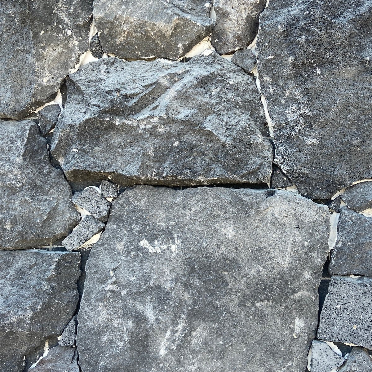 Laja Rd Laja – Unik